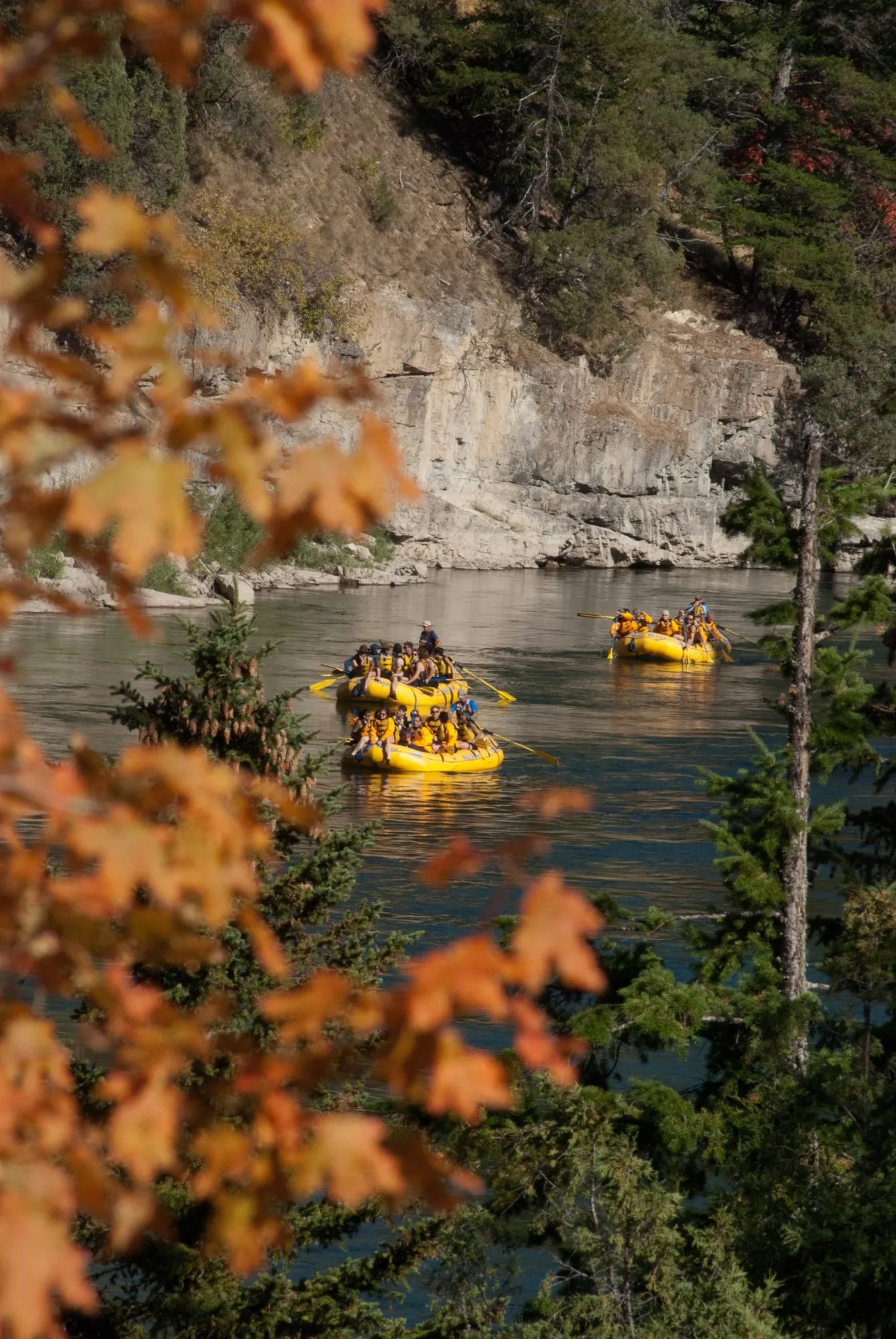 Whitewater_Rafting_Jackson_Hole_Wyoming_Mad_River_Boat_Trips_Things_to_do (10 of 26) Whitewater_Rafting_Jackson_Hole_Wyoming_Mad_River_Boat_Trips_Things_to_do (10 of 26)