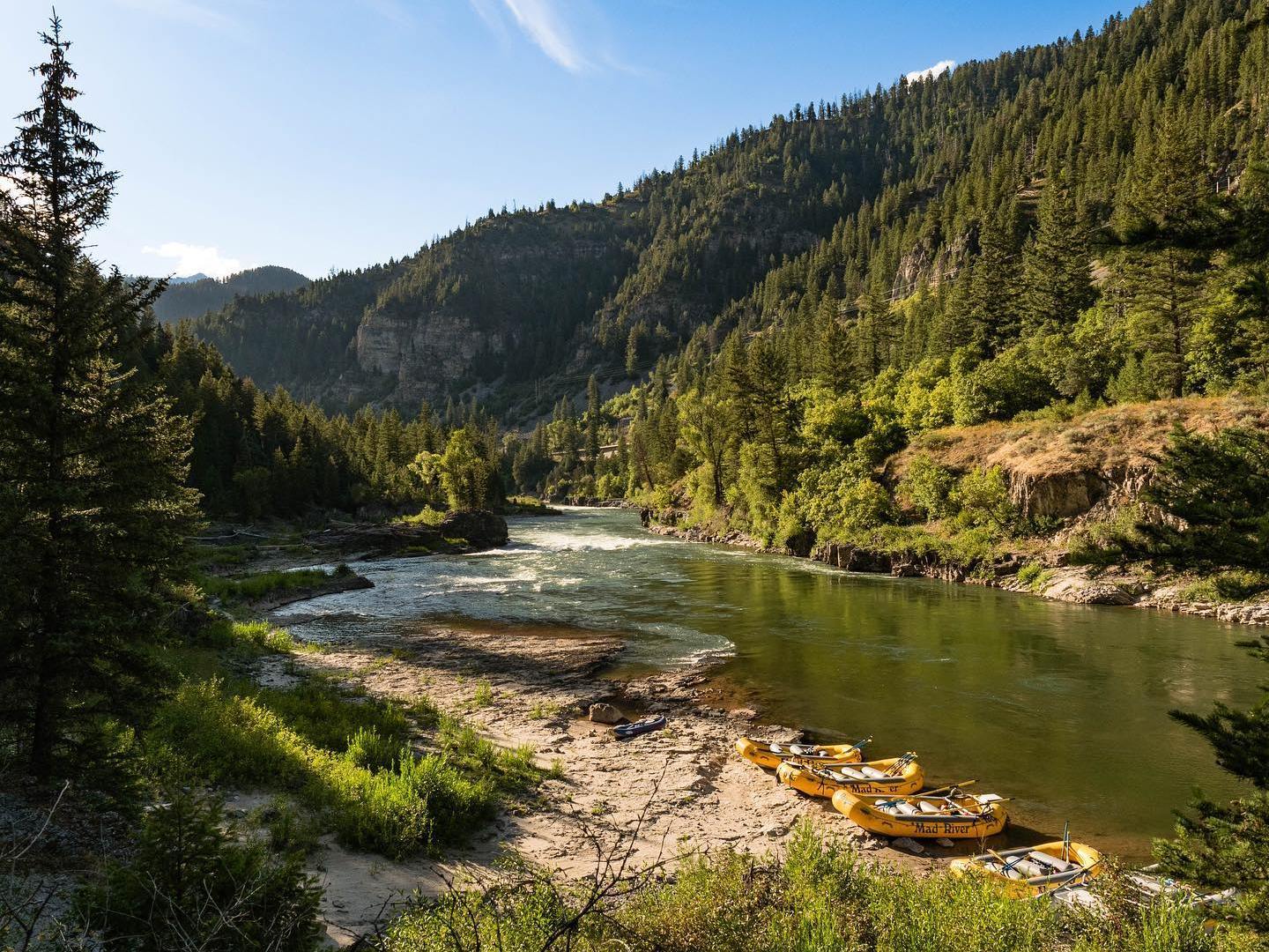 a body of water surrounded by trees