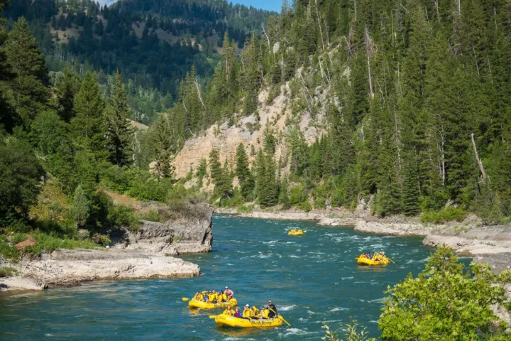 a body of water surrounded by trees